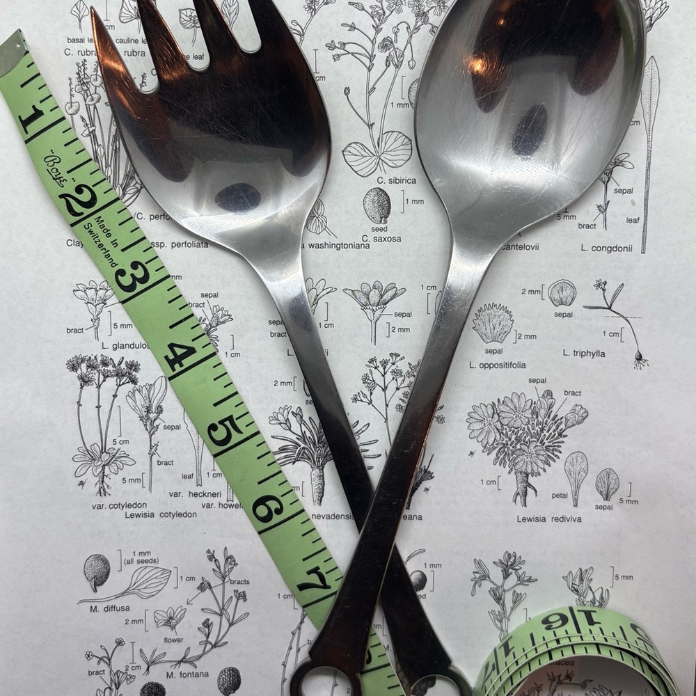 FRIGAST Denmark Pantry Stainless Steel Cutlery Fork & Spoon MidCentury
